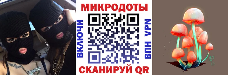 Псилоцибиновые грибы мицелий  Губкинский 