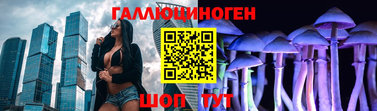 Галлюциногенные грибы Psilocybe Губкинский